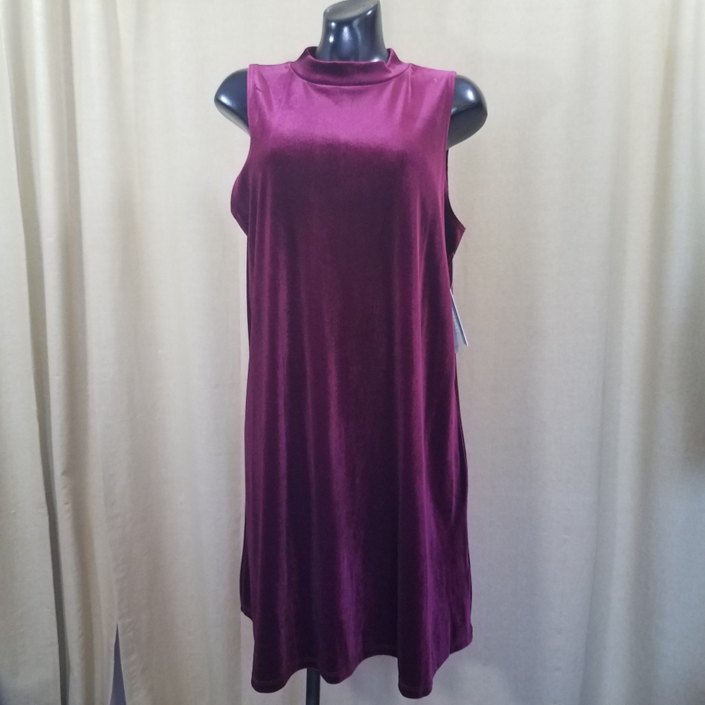 Tash & Sophie Velvet Mock Neck Dress
